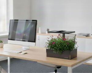 Aura Solaris hidroponía Perú