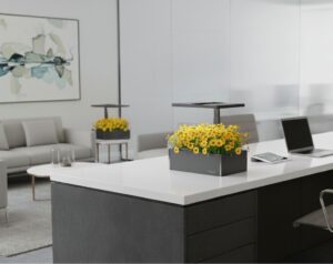 Aura Solaris hidroponía Perú